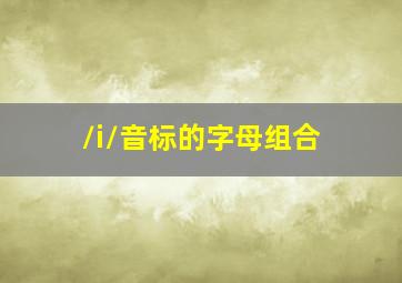 /i/音标的字母组合