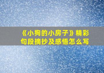 《小狗的小房子》精彩句段摘抄及感悟怎么写