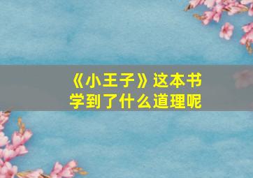 《小王子》这本书学到了什么道理呢