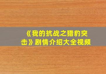 《我的抗战之猎豹突击》剧情介绍大全视频