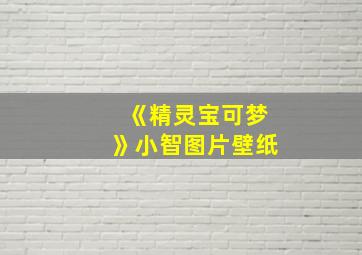 《精灵宝可梦》小智图片壁纸