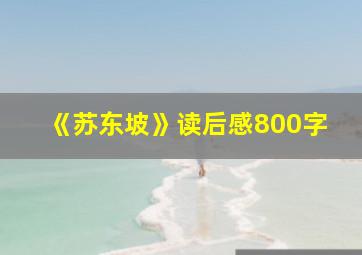 《苏东坡》读后感800字