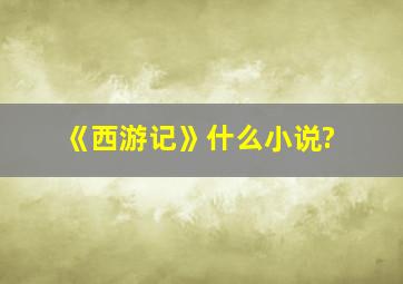 《西游记》什么小说?