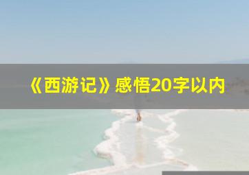 《西游记》感悟20字以内