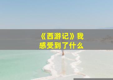 《西游记》我感受到了什么