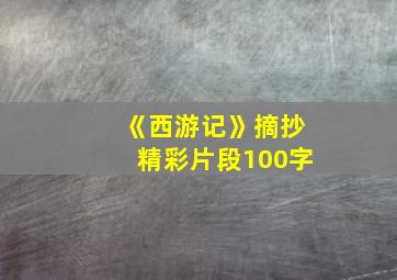 《西游记》摘抄精彩片段100字