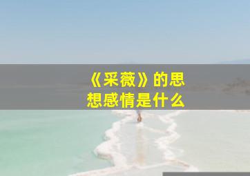 《采薇》的思想感情是什么