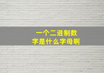 一个二进制数字是什么字母啊