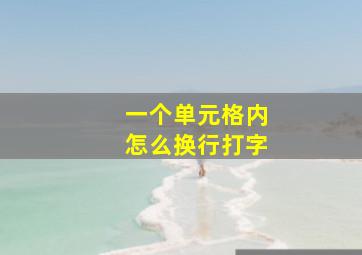 一个单元格内怎么换行打字