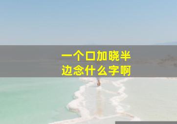 一个口加晓半边念什么字啊