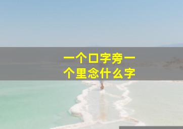 一个口字旁一个里念什么字