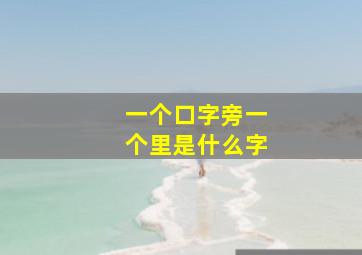 一个口字旁一个里是什么字