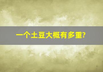 一个土豆大概有多重?