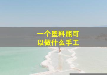 一个塑料瓶可以做什么手工