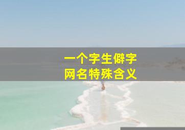 一个字生僻字网名特殊含义