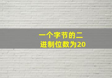 一个字节的二进制位数为20