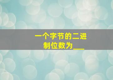 一个字节的二进制位数为___