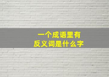 一个成语里有反义词是什么字