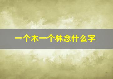 一个木一个林念什么字