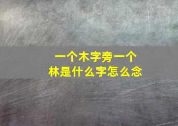 一个木字旁一个林是什么字怎么念