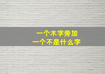 一个木字旁加一个不是什么字