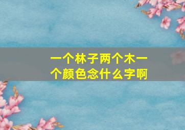 一个林子两个木一个颜色念什么字啊