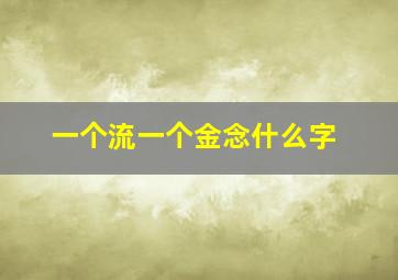 一个流一个金念什么字