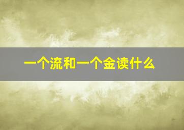 一个流和一个金读什么