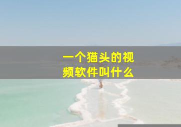 一个猫头的视频软件叫什么