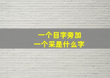 一个目字旁加一个采是什么字