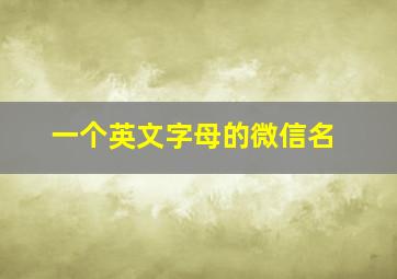 一个英文字母的微信名