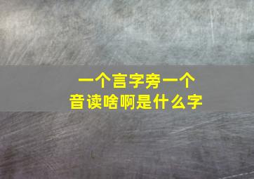 一个言字旁一个音读啥啊是什么字