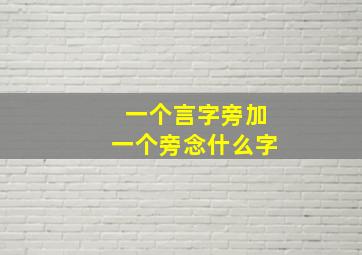 一个言字旁加一个旁念什么字