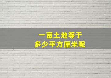 一亩土地等于多少平方厘米呢