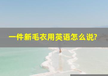 一件新毛衣用英语怎么说?