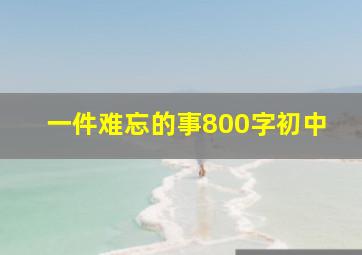 一件难忘的事800字初中