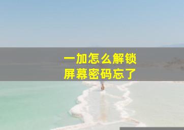 一加怎么解锁屏幕密码忘了