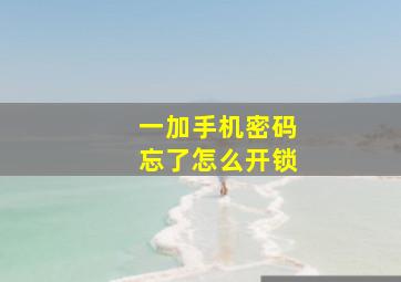 一加手机密码忘了怎么开锁