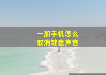 一加手机怎么取消键盘声音