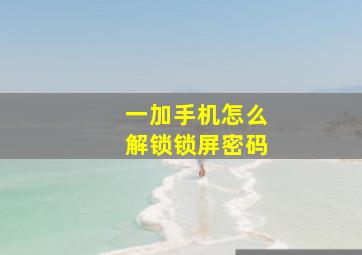 一加手机怎么解锁锁屏密码