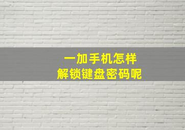 一加手机怎样解锁键盘密码呢