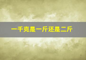 一千克是一斤还是二斤