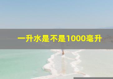 一升水是不是1000毫升