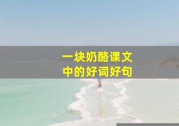 一块奶酪课文中的好词好句