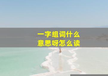 一字组词什么意思呀怎么读