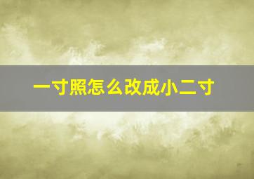 一寸照怎么改成小二寸