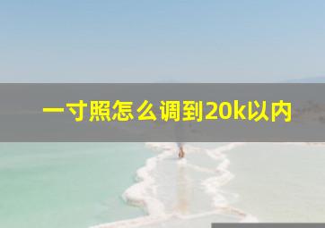 一寸照怎么调到20k以内