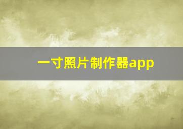 一寸照片制作器app