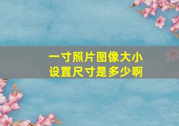 一寸照片图像大小设置尺寸是多少啊