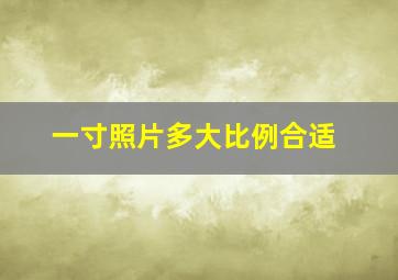 一寸照片多大比例合适